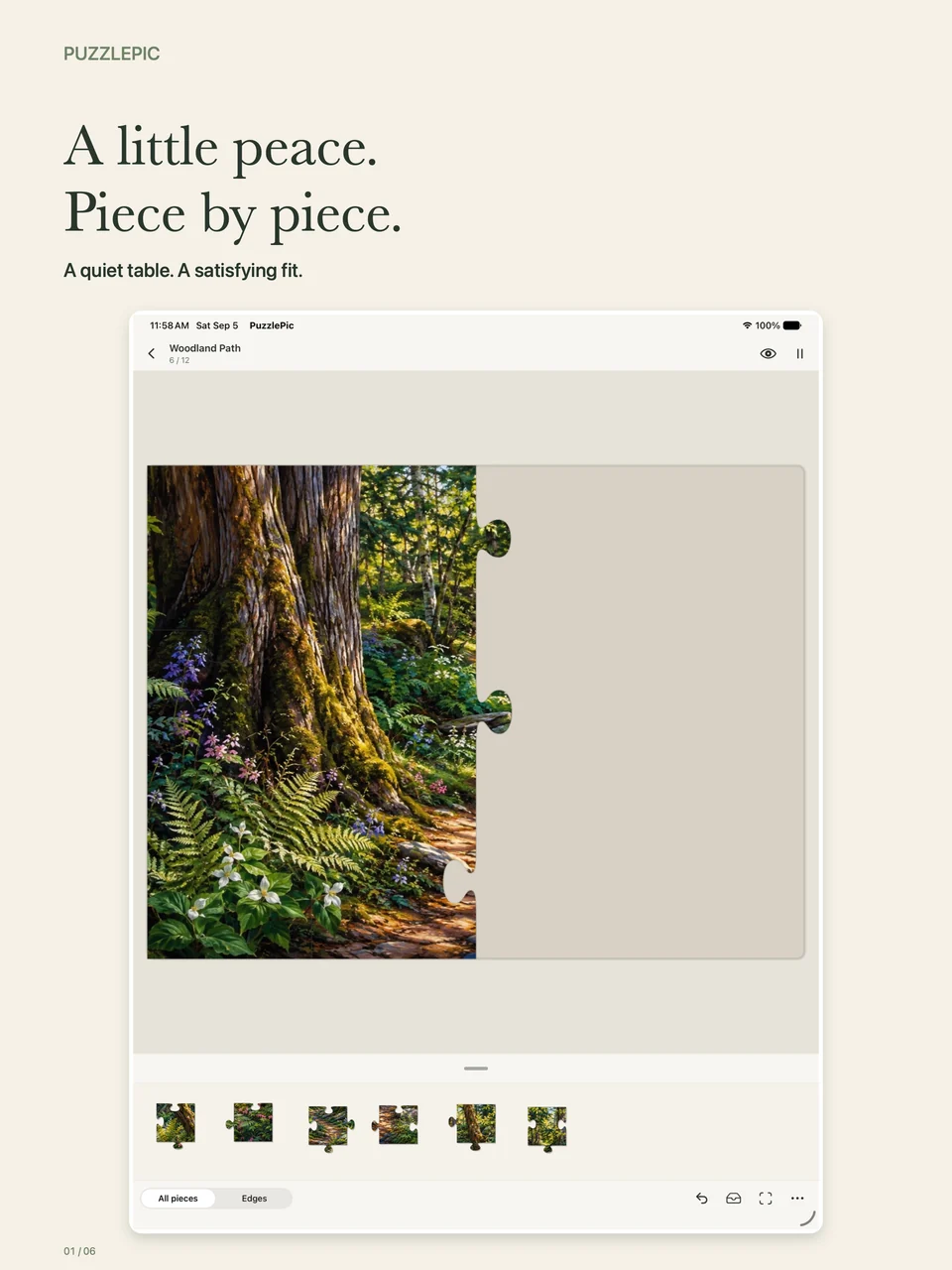 PuzzlePic Woodland Path jigsaw in progress on iPad, with loose pieces in the drawer.